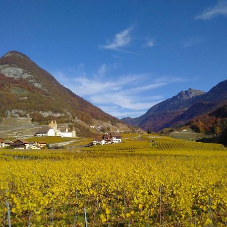 Element-Terre Hotel Aigle Eksteriør billede
