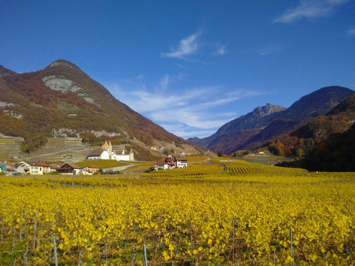 Element-Terre Hotel Aigle Eksteriør billede